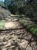 photo thumbnail #12