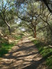 photo thumbnail #14