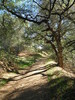 photo thumbnail #15