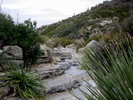 photo thumbnail #1