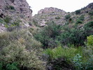 photo thumbnail #11
