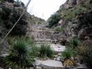 photo thumbnail #14