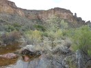photo thumbnail #5