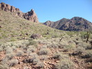 photo thumbnail #3
