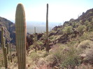 photo thumbnail #7