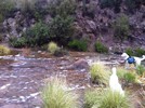 photo thumbnail #1