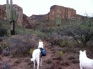 photo thumbnail #9