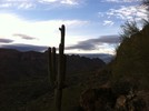 photo thumbnail #11