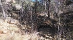 photo thumbnail #10