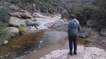 photo thumbnail #5