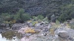 photo thumbnail #8