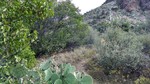 photo thumbnail #12
