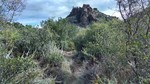 photo thumbnail #14