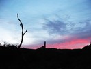 photo thumbnail #4