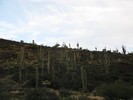 photo thumbnail #13