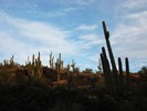 photo thumbnail #14