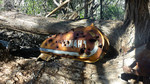 photo thumbnail #5