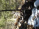 photo thumbnail #10