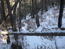 photo thumbnail #12