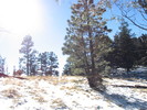 photo thumbnail #13