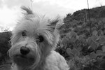 photo thumbnail #6