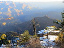 photo thumbnail #1