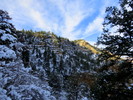 photo thumbnail #8