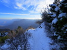 photo thumbnail #9