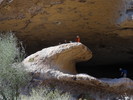 photo thumbnail #11