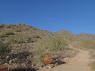 photo thumbnail #5
