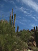 photo thumbnail #5