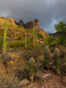 photo thumbnail #6