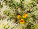 photo thumbnail #11