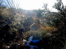 photo thumbnail #1