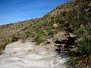 photo thumbnail #3