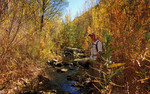 photo thumbnail #3