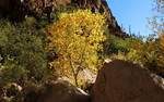 photo thumbnail #8