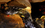photo thumbnail #10