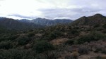 photo thumbnail #5