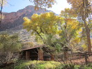 photo thumbnail #5
