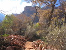 photo thumbnail #7