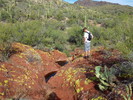 photo thumbnail #4