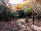 photo thumbnail #10