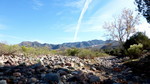 photo thumbnail #11