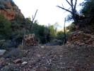 photo thumbnail #13