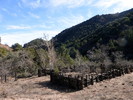 photo thumbnail #15