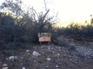 photo thumbnail #2