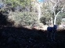 photo thumbnail #5