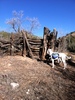 photo thumbnail #7