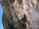 photo thumbnail #15